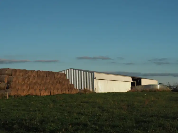 Seventh view of Homely rural property listing, - Timboon-Terang Road, Ecklin South VIC 3265