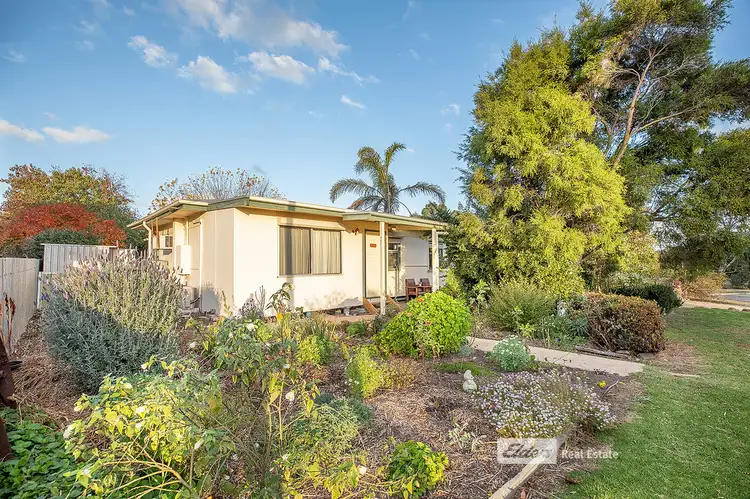 Main view of Homely house listing, 26 GRAHAM STREET, Naracoorte SA 5271