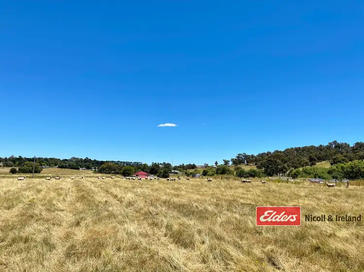 Lots 15-19 Pascoe Street, Neville NSW 2799