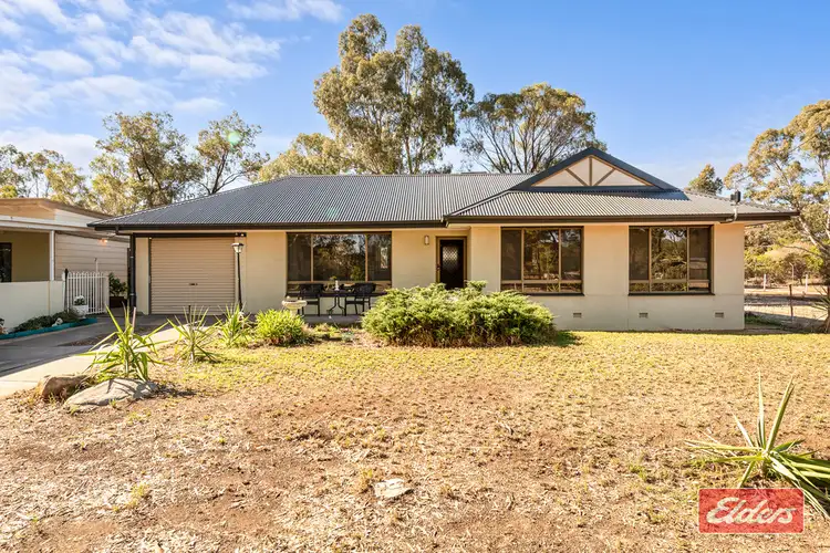 51 Roediger Road, Buchfelde SA 5118