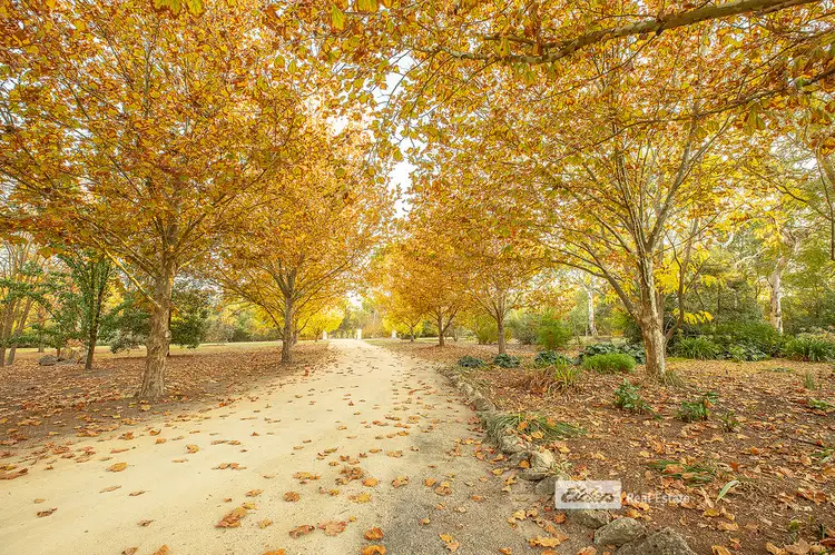 Second view of Homely house listing, 76 MOUNT MCINTOSH ROAD, Naracoorte SA 5271