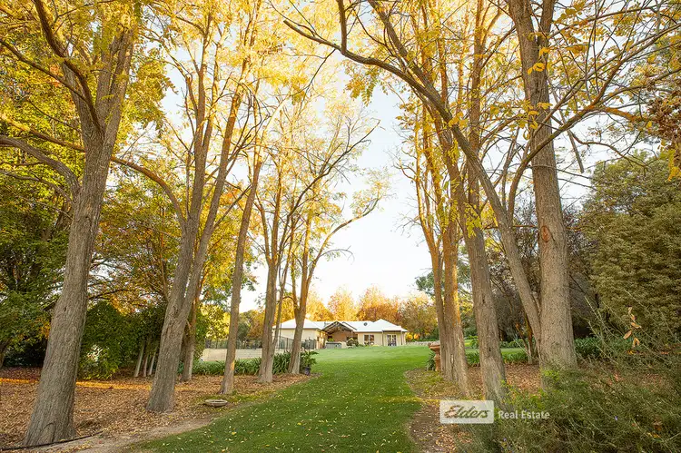 Third view of Homely house listing, 76 MOUNT MCINTOSH ROAD, Naracoorte SA 5271