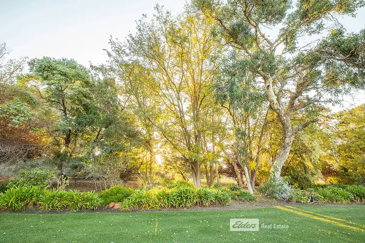 Fifth view of Homely house listing, 76 MOUNT MCINTOSH ROAD, Naracoorte SA 5271