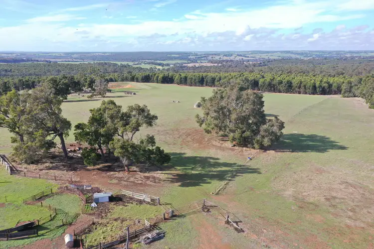 Main view of Homely rural property listing, 841 CONDINUP ROAD, Dinninup WA 6244