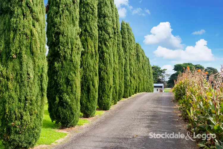 Second view of Homely house listing, 57 Albert Road, Port Fairy VIC 3284