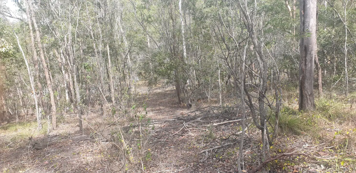 Main view of Homely land listing, 205 Halford Drive, Maroondan QLD 4671