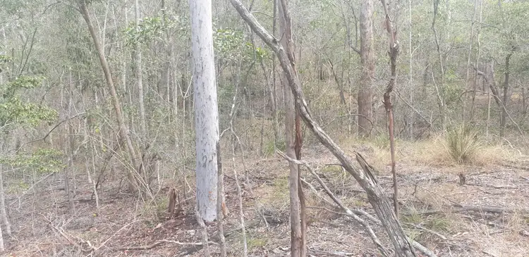 Second view of Homely land listing, 205 Halford Drive, Maroondan QLD 4671