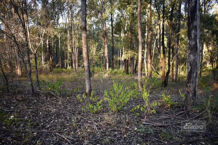 Third view of Homely land listing, Lot 42 Ian Drive, Curra QLD 4570