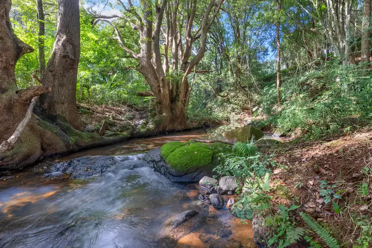Second view of Homely rural property listing, 173 Fowlers Lane, Bangalow NSW 2479