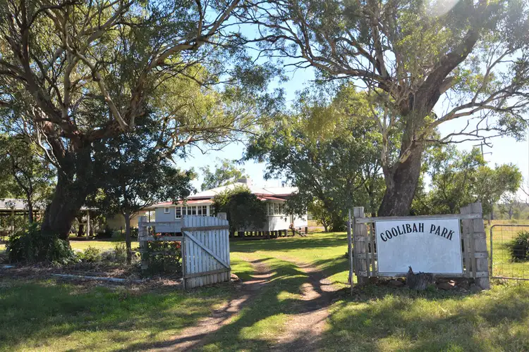 Second view of Homely rural property listing, 87 McCormack Road, Aubigny QLD 4401