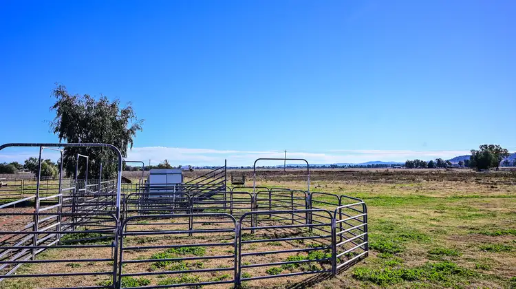 50 Flinders Street, Tamworth NSW 2340