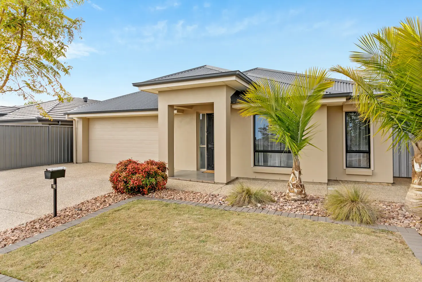 Main view of Homely house listing, 19 Chardonnay Boulevard, Reynella SA 5161