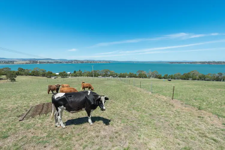 Fifth view of Homely house listing, 500 Shark Point Road, Penna TAS 7171