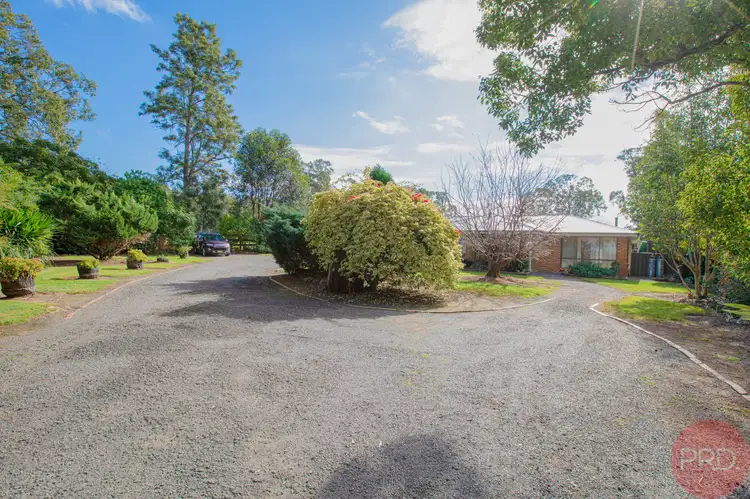 Third view of Homely house listing, 539 Raymond Terrace Road, Chisholm NSW 2322