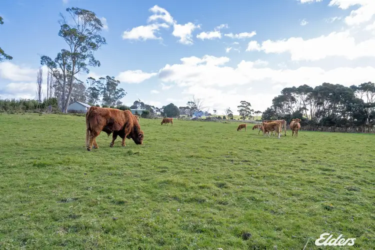 Fourth view of Homely house listing, 55 Coopers Lane, Wynyard TAS 7325