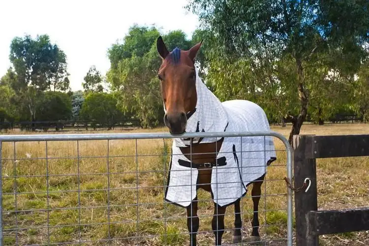 Seventh view of Homely house listing, 35 Karngun Crescent, Winchelsea VIC 3241