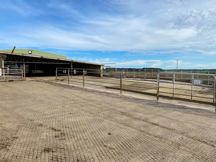 Third view of Homely rural property listing, 119 Gores Road, Ecklin South VIC 3265
