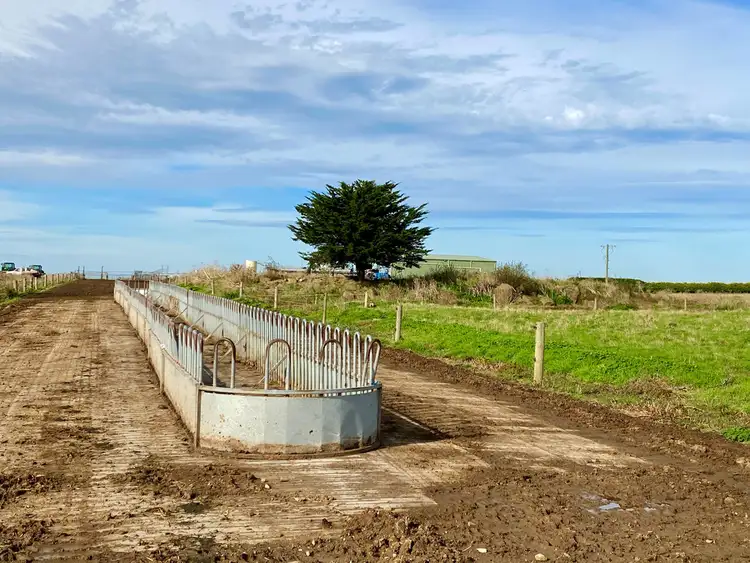 Fifth view of Homely rural property listing, 119 Gores Road, Ecklin South VIC 3265