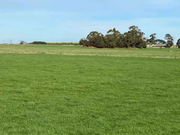 Sixth view of Homely rural property listing, 119 Gores Road, Ecklin South VIC 3265