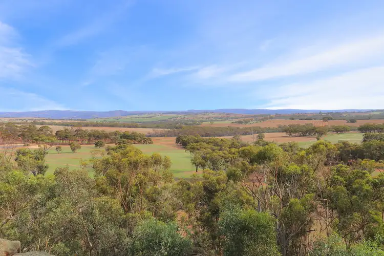 Second view of Homely rural property listing, Lot 100 & 101 Forest Rd, Nunile WA 6566
