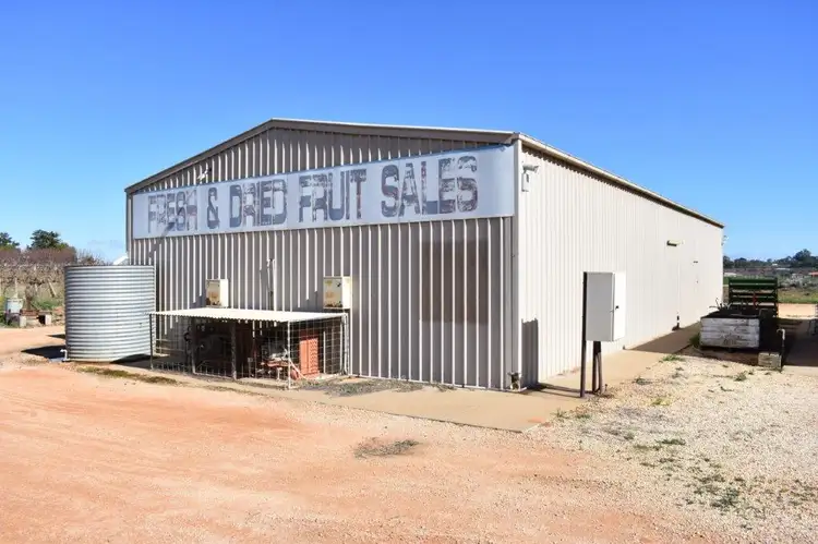Third view of Homely land listing, 942 Old Sturt Highway, Glossop SA 5344