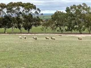 Main view of Homely rural property listing, 57 Grass Valley North Rd, Southern Brook via, Northam WA 6401