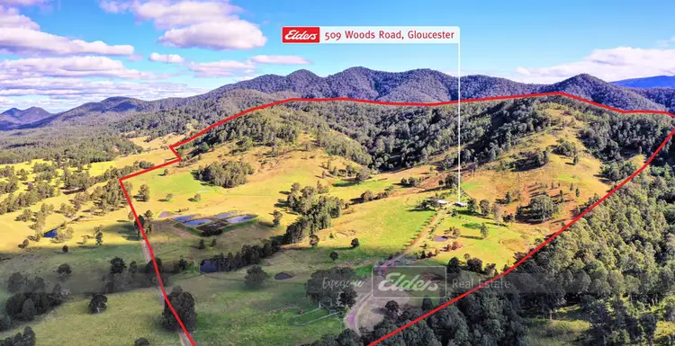 Fifth view of Homely rural property listing, 509 Woods Road, Gloucester NSW 2422