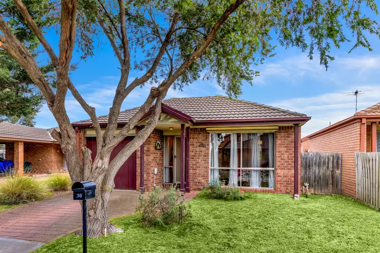 Main view of Homely house listing, 16 Gardenview Grove, Westmeadows VIC 3049