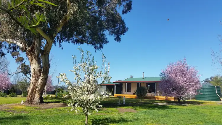 Second view of Homely rural property listing, 1020 Boddingtons West Road, Naracoorte SA 5271