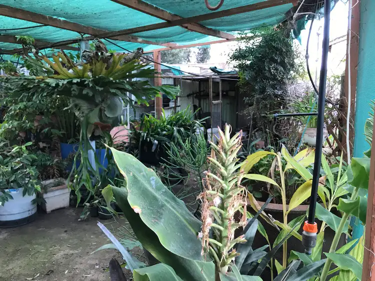 Fifth view of Homely house listing, Lot 31 High St, Rudall SA 5642