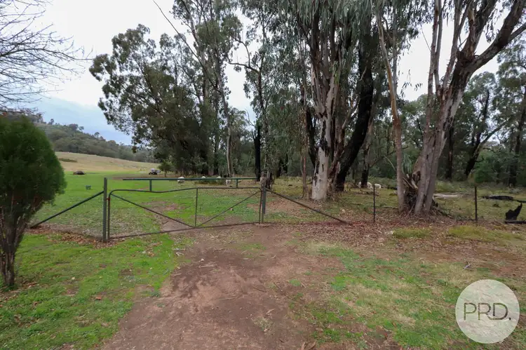 Fifth view of Homely house listing, 3900 Tumbarumba Road, Tumbarumba NSW 2653
