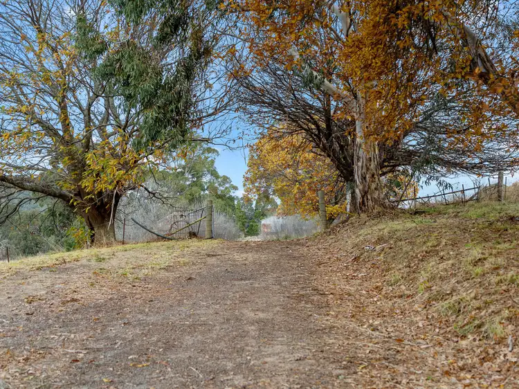 Fifth view of Homely rural property listing, 124 Watkins Road, Creek Junction VIC 3669