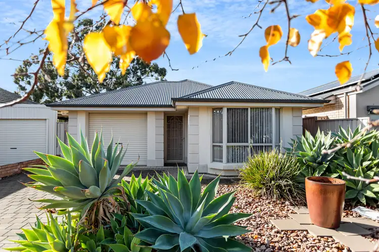 5 Went Street, Woodville West SA 5011