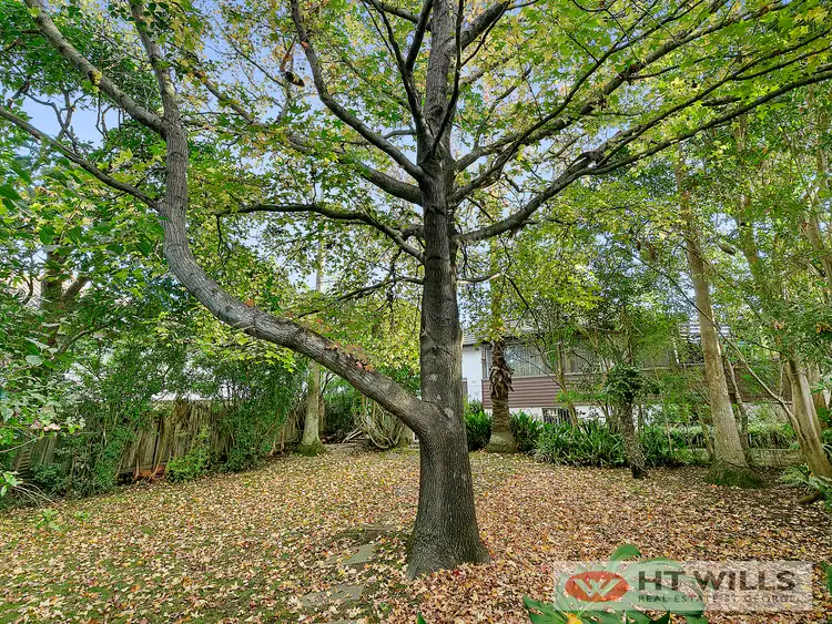 Fifth view of Homely house listing, 4 Edmund Street, Beverly Hills NSW 2209