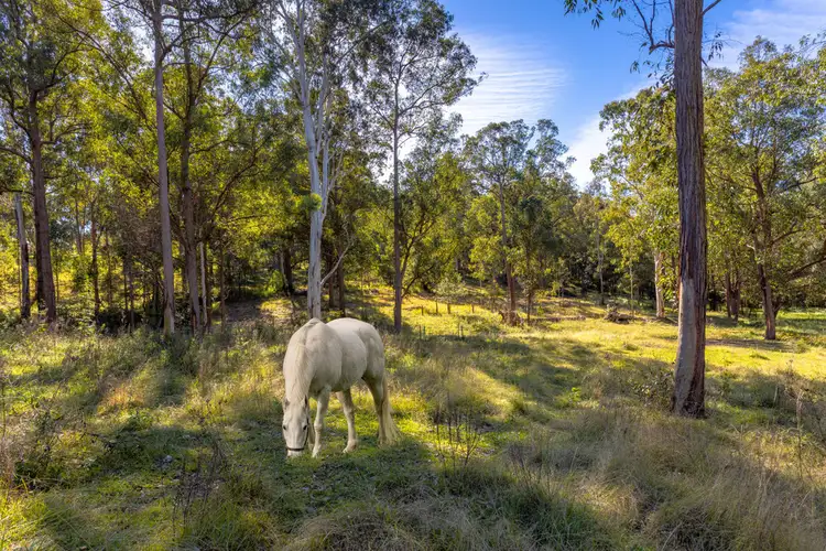 Third view of Homely house listing, 18 Kingfisher Drive, Wingham NSW 2429