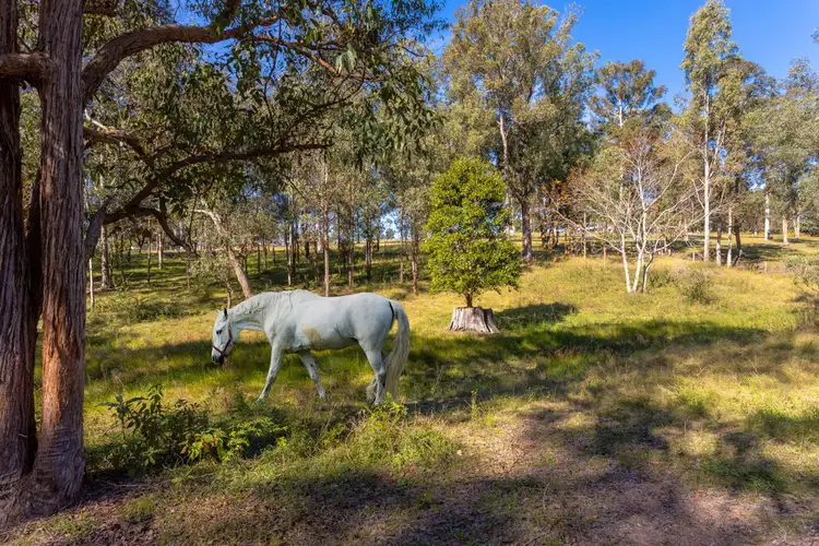 Fifth view of Homely house listing, 18 Kingfisher Drive, Wingham NSW 2429