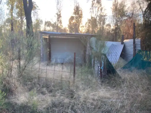 Fourth view of Homely rural property listing, 1450 Bennett School Road, Tara QLD 4421