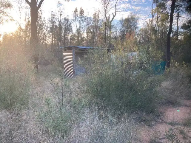 Seventh view of Homely rural property listing, 1450 Bennett School Road, Tara QLD 4421