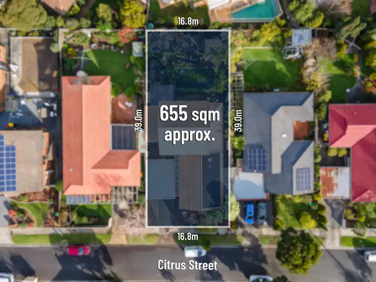 Sixth view of Homely house listing, 16 Citrus Street, Vermont South VIC 3133