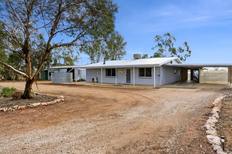 Main view of Homely house listing, 319 Caddy Road, Loveday SA 5345