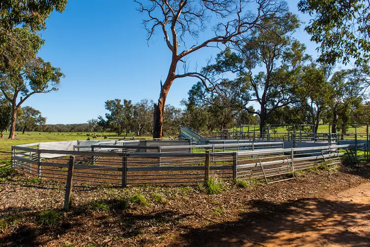 Seventh view of Homely rural property listing, Lot 2390 Walyer Walyer Road, Dandaragan WA 6507