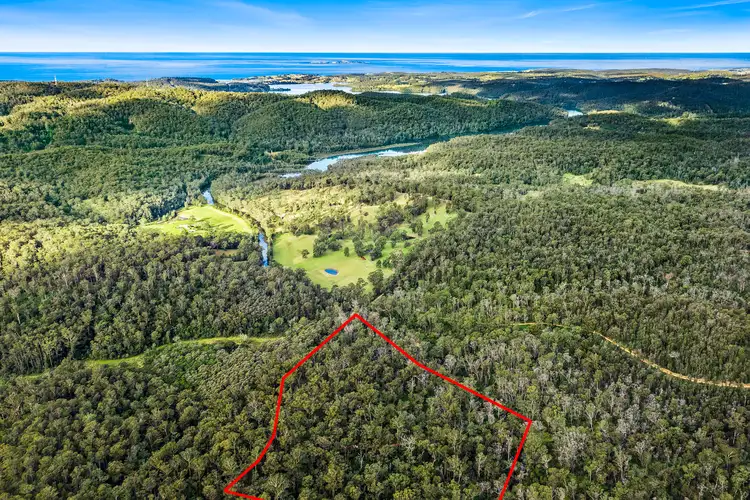 LOT 241 Cobra Road, Narooma NSW 2546