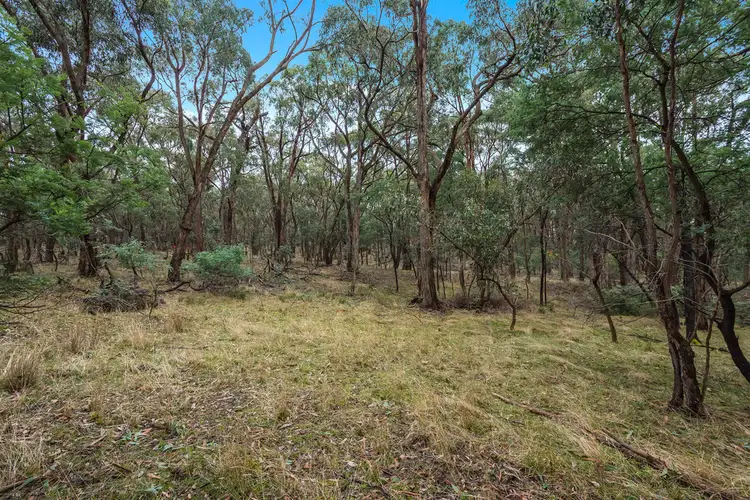 Third view of Homely land listing, 280 Scobles Road, Drummond VIC 3461