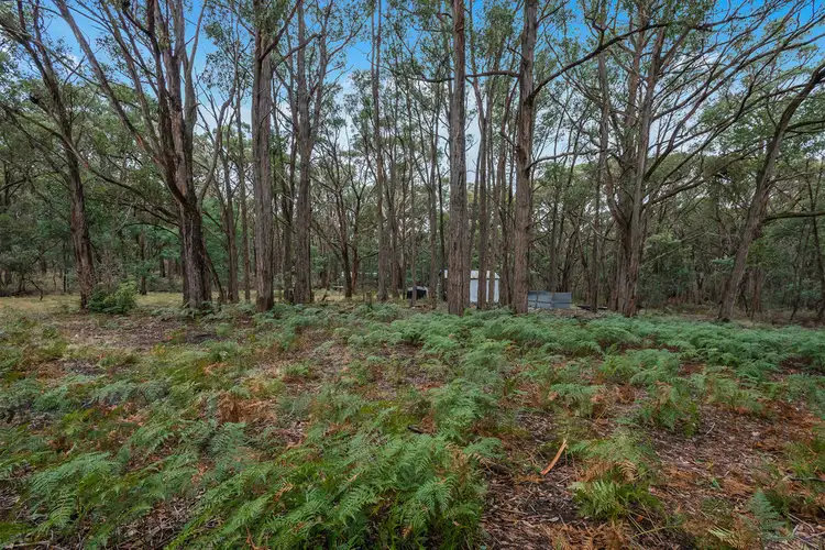 Fifth view of Homely land listing, 280 Scobles Road, Drummond VIC 3461
