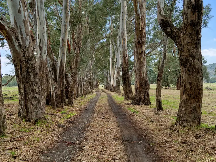 Third view of Homely rural property listing, 509 Whites Road, Warrenbayne VIC 3670