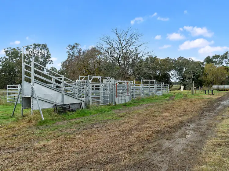 Fourth view of Homely rural property listing, 509 Whites Road, Warrenbayne VIC 3670