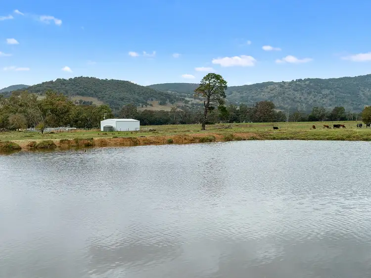 Seventh view of Homely rural property listing, 509 Whites Road, Warrenbayne VIC 3670