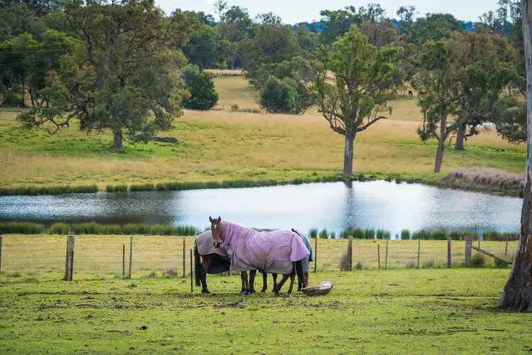 Main view of Homely rural property listing, 416 Wyndham Lane, Kanoona NSW 2550