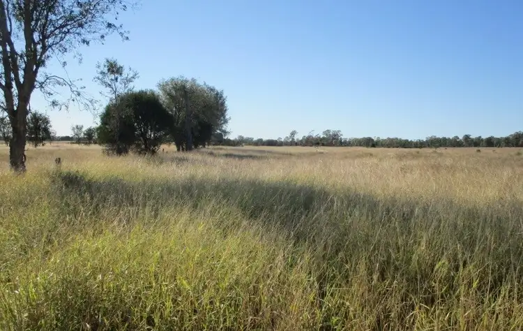 564 ACRES, Jandowae QLD 4410