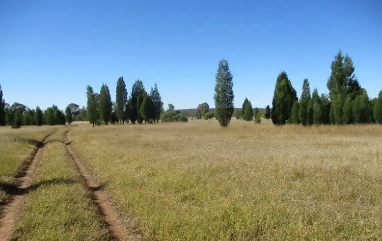 Third view of Homely rural property listing, 564 ACRES, Jandowae QLD 4410